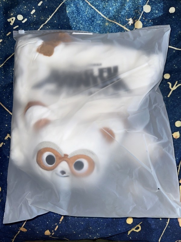RARE Kung Fu Panda The Exhibition Push Tote Bag Master Shifu NEW China Exclusive