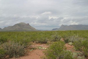 20 ACRES w/DIRECT ROAD ACCESS SW OF VAN HORN TEXAS - HUDSPETH COUNTY