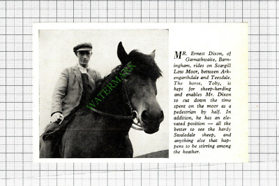 Mr Ernest Dixon Garnathwaite Barningham Yorkshire - 1962 Steckling  