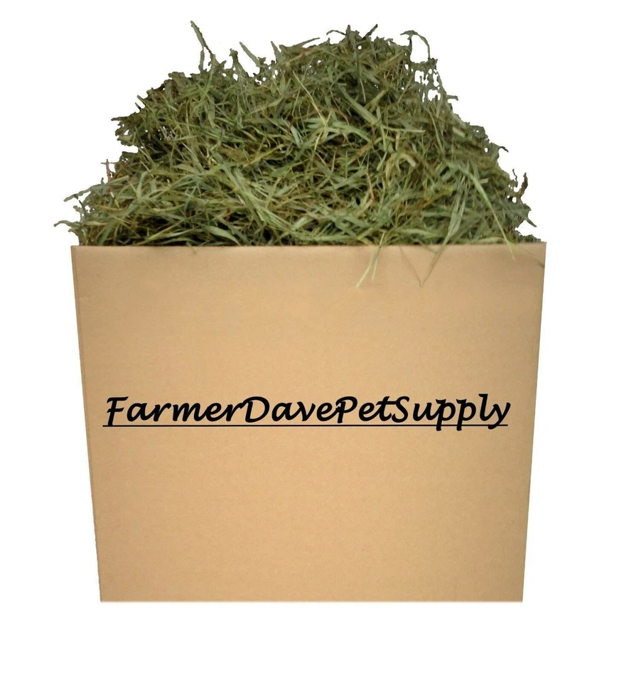 FARMERDAVEPETSUPPLY 15 lb PREM. 2nd Cut Timothy Hay-Bunny,Chinchilla,Guinea Pig