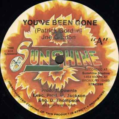 Joe Gordon Youve Been Gone Vinyl Single 12inch Sunshine