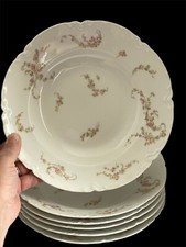 Set 6 Haviland Limoges France Floral Porcelain 9  Soup Cereal Deep Plates 1894