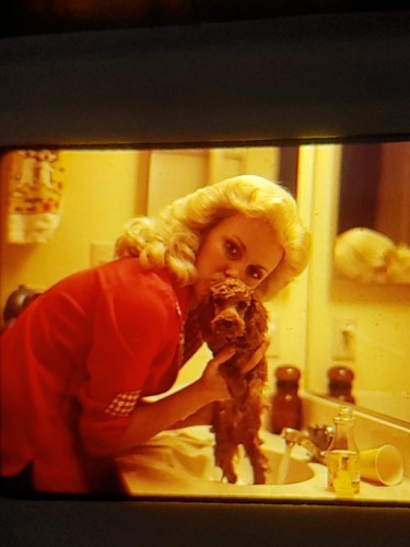 1978 Color 35mm Slides Family Dog Children Lot of 15 #21805