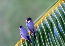 Digital Photography Art Work INSTANT Download File Landscape Printable Wall Art