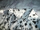 Bild 3 von 6