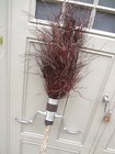 Bild 3 von 9