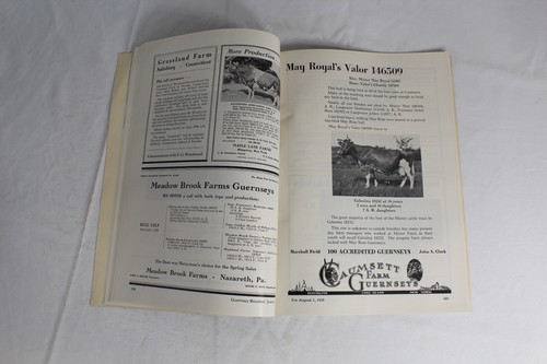 Guernsey Breeders Journal August 1, 1935 Cow Calf Bull Farms Cattle Dairy Ads - Imagen 15 de 17
