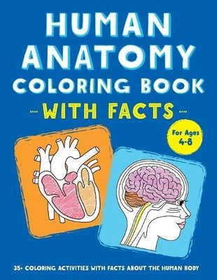 Ni, Rockridge Press;C Human Anatomy Coloring Book with (Taschenbuch) (US IMPORT)