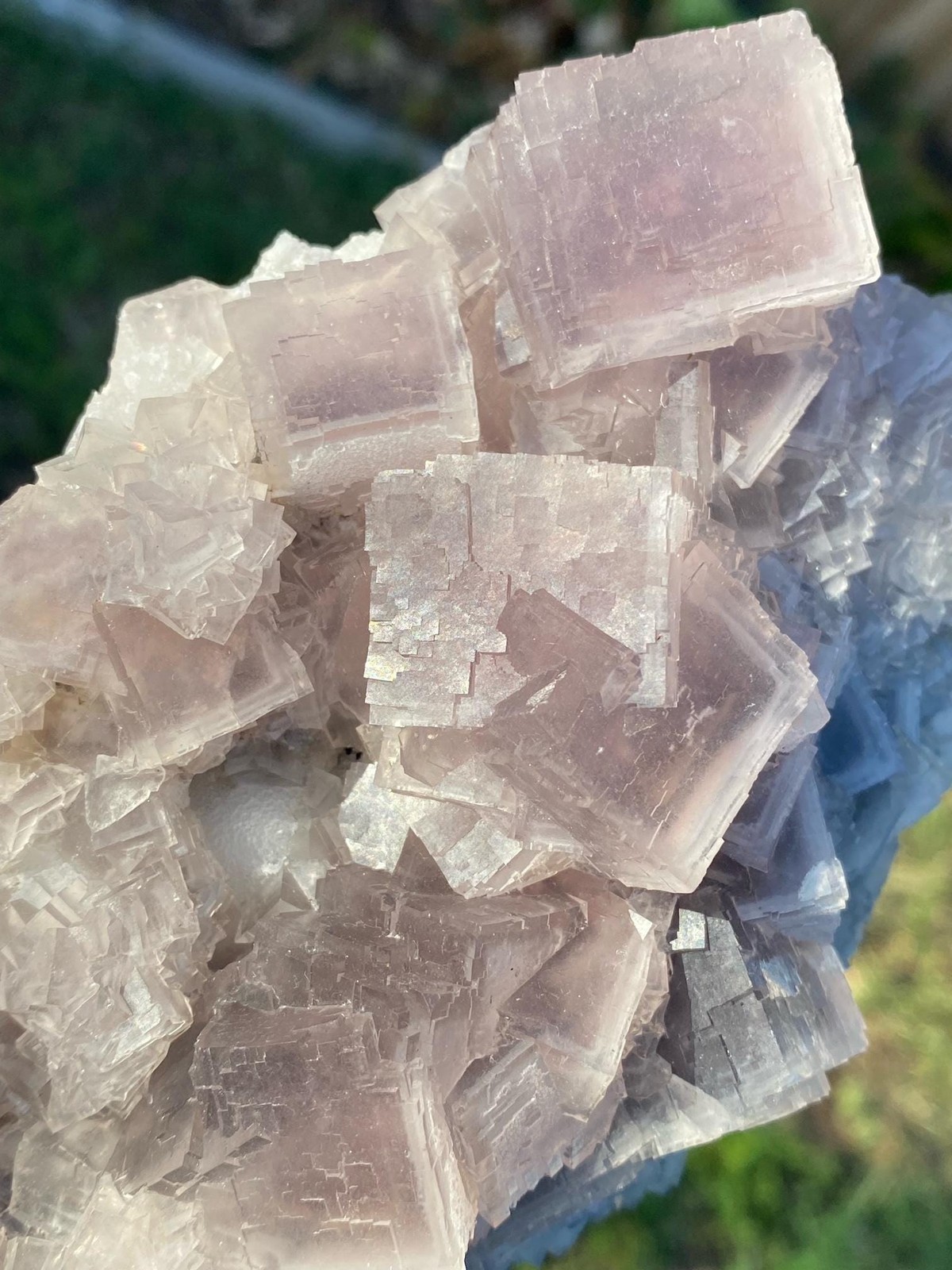 XL Pink & Gray Cubic Fluorite Cluster with Rare Phantoms – Watch Video Now