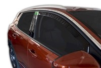Windabweiser Regenabweiser Heko FüR Peugeot 3008 2017-2024 5-TüRer 2-Tlg