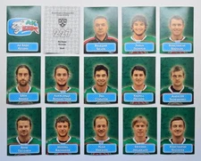 2013-14 Sereal KHL Ak Bars Kazan (#227-240) Pick a Player Sticker