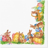 20 Servietten Easter Fever Hasen Eier Ostern Blumen BordüRe Wiese Garten 33X33Cm