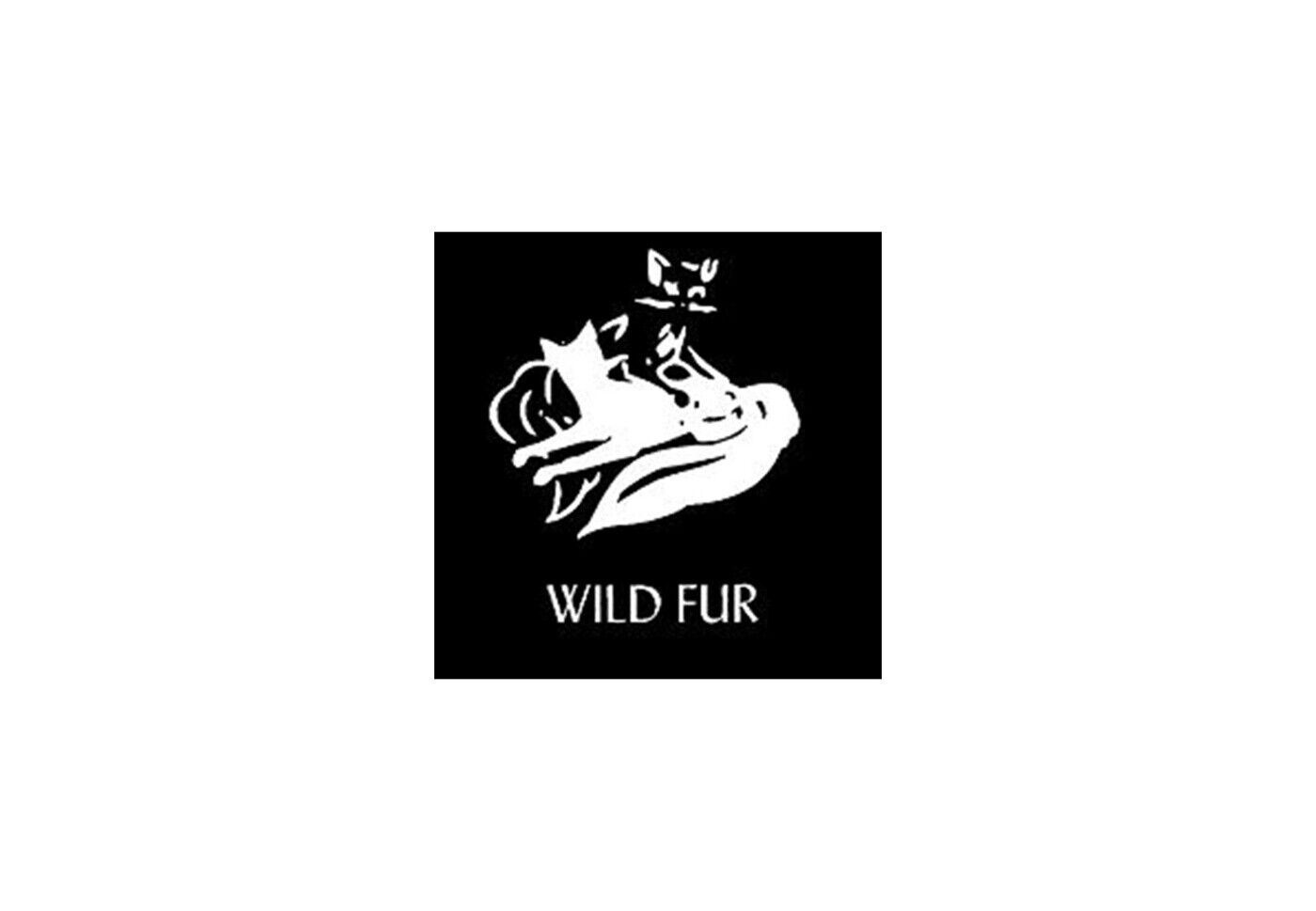 Bild 7 von 7