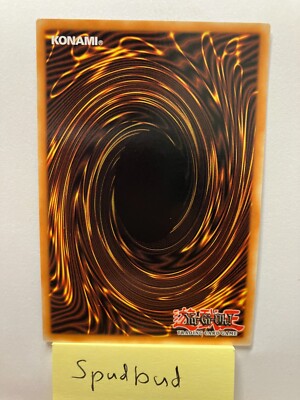 Blackwing - Elphin the Raven Rare MAZE-EN038 (Near Mint 1st