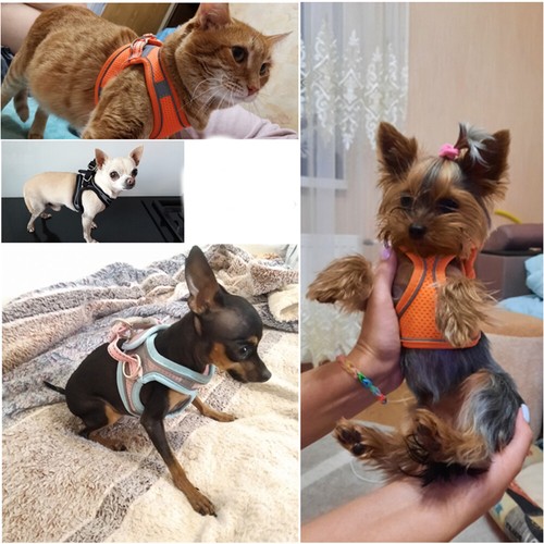 Pet Dog Harness Leash Adjustable Breathable Reflective Walking Cat Chest Strap - 第 12/18 張圖片