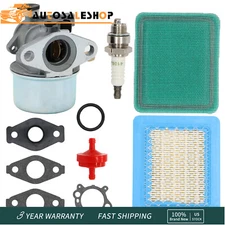 Carburetor Kit For Briggs & Stratton For Craftsman 799866 790845 796707 794304