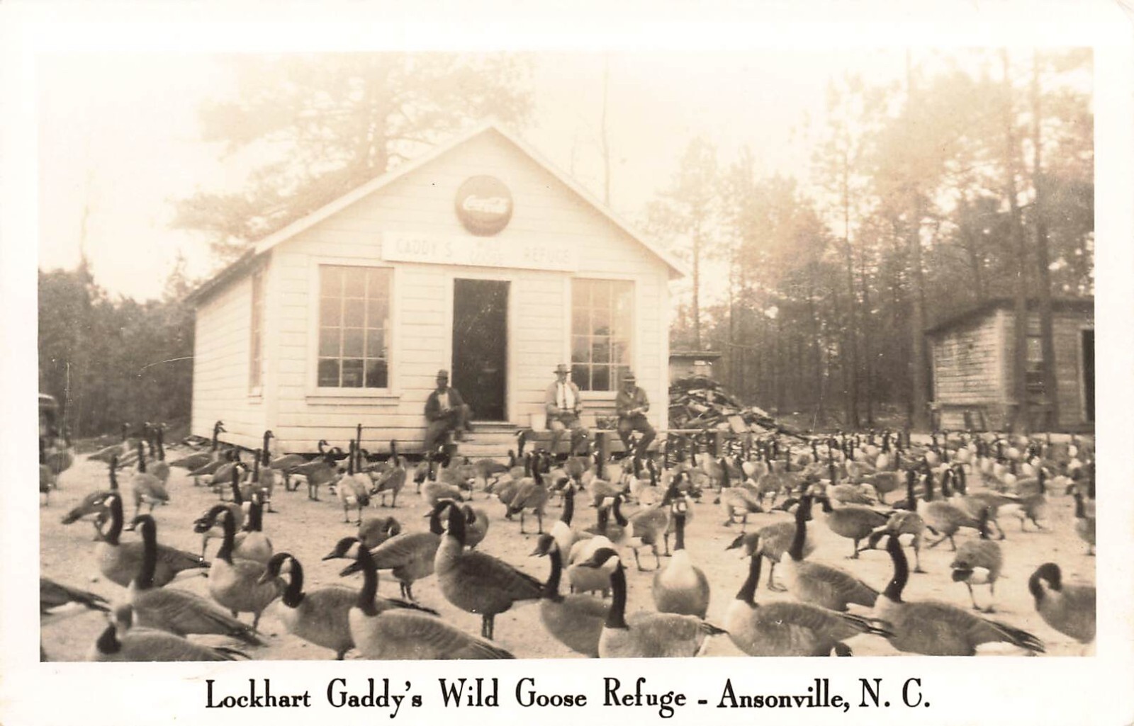 LP51 Ansonville North Carolina Lockhart Gaddy's Wild Goose Refuge RPPC