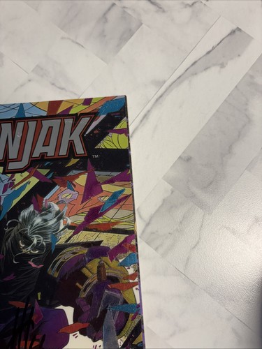 NINJAK # 1-3 ALL SIGNED BY JOE QUESADA & JIMMY PALMIOTTI (Valiant 1993) - Picture 8 of 13