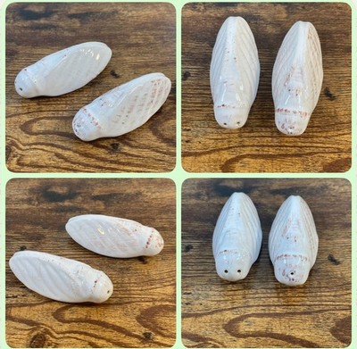 Vintage France Cicada Salt & Pepper Ceramic Shakers Symbols Of Provence Insect