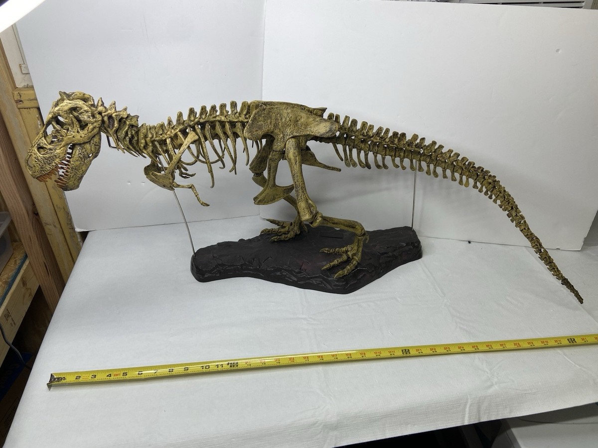 T-REX SKELETON Dinosaur Model kit 1/10 Scale Building STEM