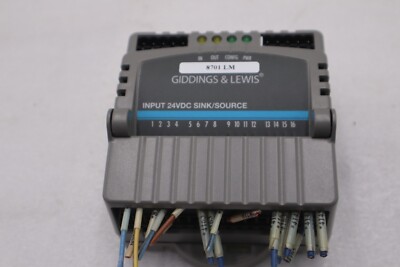 Giddings & Lewis M.1300.7372 R1 Input Module 24VDC SINK/SOURCE STOCK K-2918-A