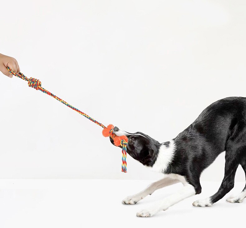 Durable Rope Chew Toy for Dogs – Promotes Dental Health & Tug Play