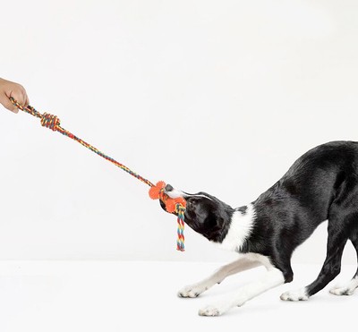 Tough Rope Chew Toy for Dogs   Dental Cleaning & Tug Play for Active Pets