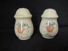 Vintage Marmalade Salt Pepper Shaker Geese Duck Apple Ribbon (lot 2847c)