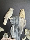 Picture 4 of 20