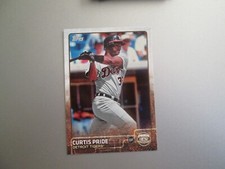 2015  Topps   Curtis Pride   PP-2   Detroit Tigers   (PRIDE AND PERSAVERANCE)