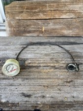 eBay Auction Picture