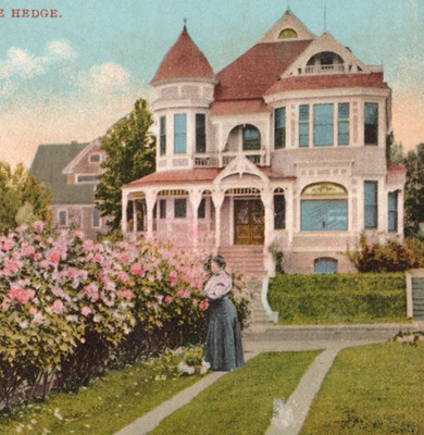 Rose Hedge Victorian Home Garden View Vintage Divided Back Postcard