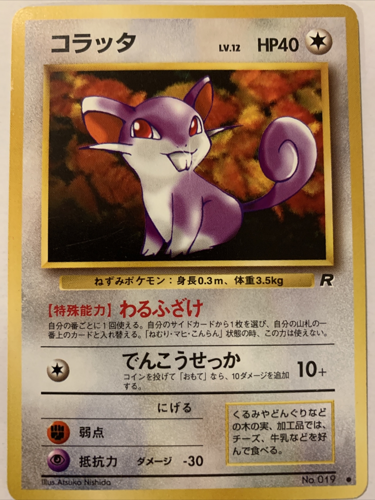 Japanese Rattata No. 019 Team Rocket - Common Pokemon Card - NM