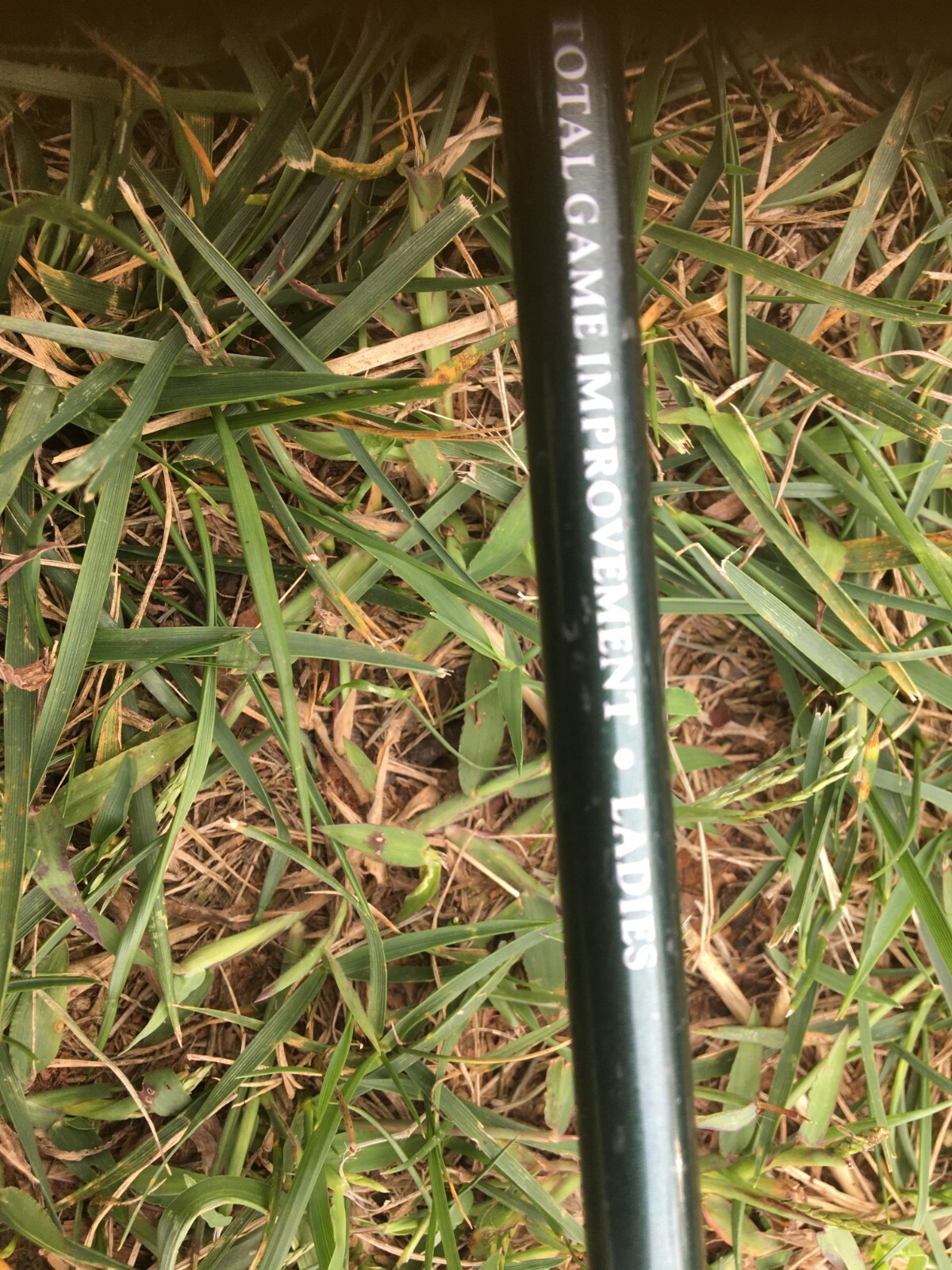 Picture 5 of 8