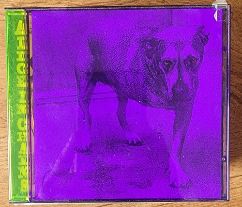 Alice In Chains Self Titled CD in Purple and Green Case