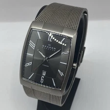Skagen Men 851LTTM Quartz Watch Titanium Black Dial Mesh Band Date New Battery