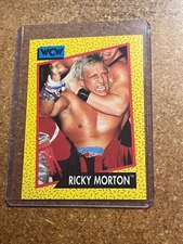 1991 Impel WCW Wrestling # 102 Ricky Morton