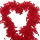 Bild 23 von 31