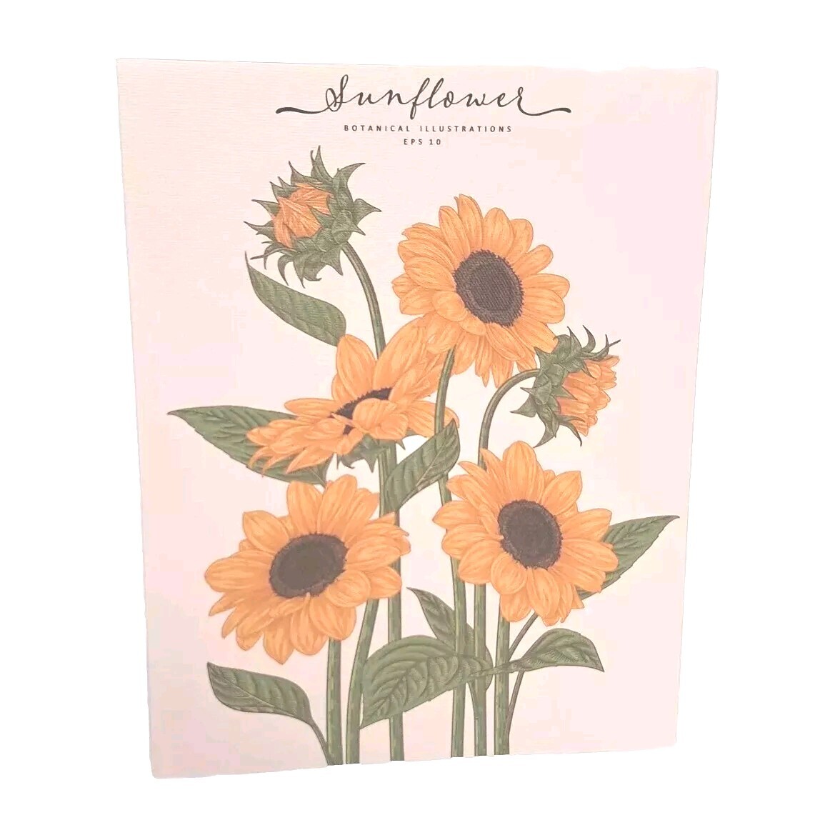 Wall Art Print, Van Gogh Sunflowers, 8x10, on Light Canvas, Unframed