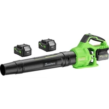 Leaf Blower Cordless with 2 x 4.0Ah Battery and Charger, 780CFM 260MPH Electr...