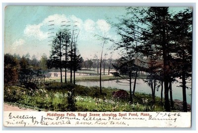 1906 Middlesex Fells Road Scene Showing Spot Pond Massachusetts MA Postcard