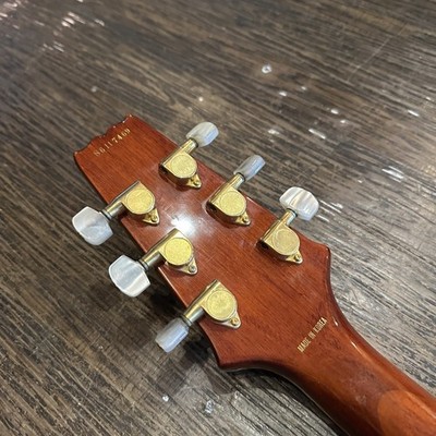 Aria Pro II PE-DLX E-Gitarre, 1990er Jahre koreanisch, einzigartige Form, lei...
