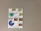 Two '50 EINSTEIN and his INSTITUT Israel registered fdc w/multiple same stamps