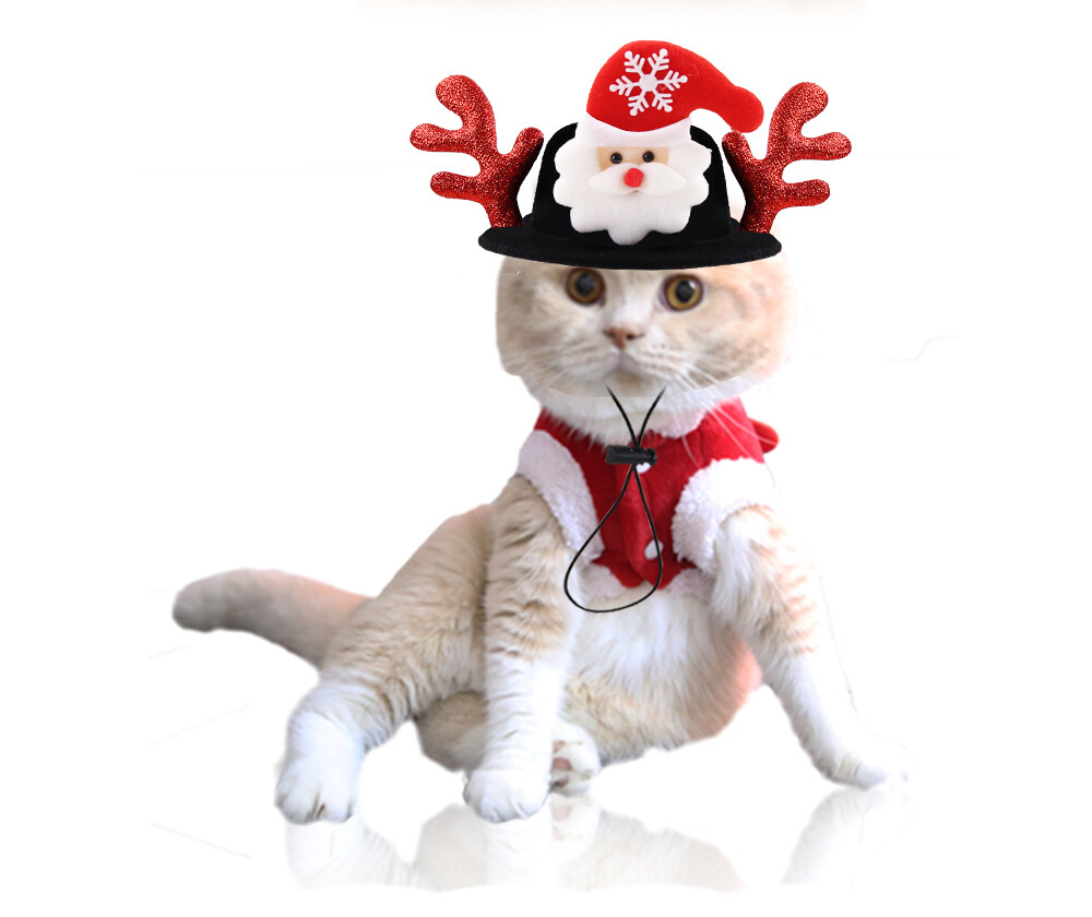 cat reindeer costume