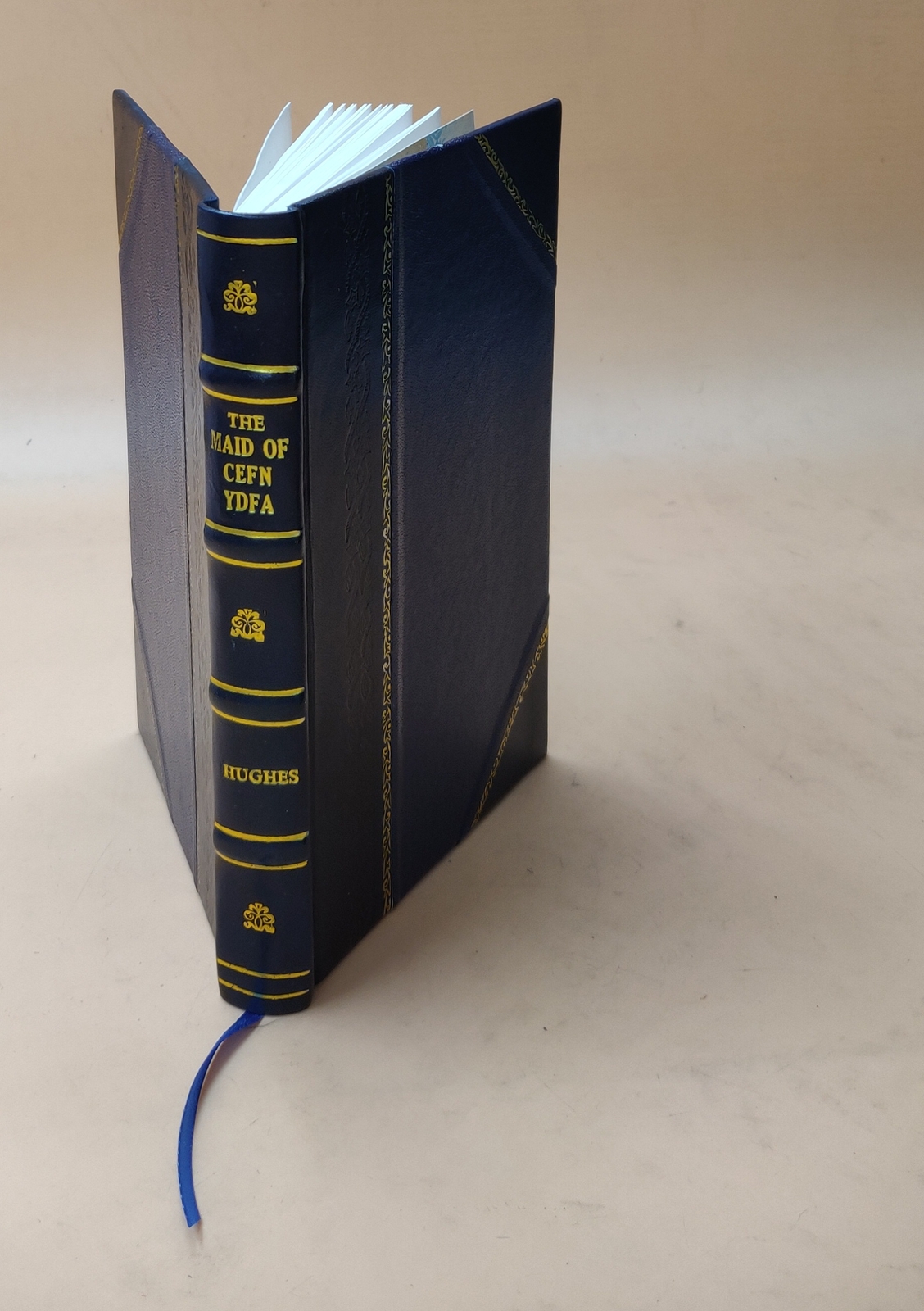 The Maid of Cefn Ydfa - 18th Century Historical Novel in Leather Bound Edition