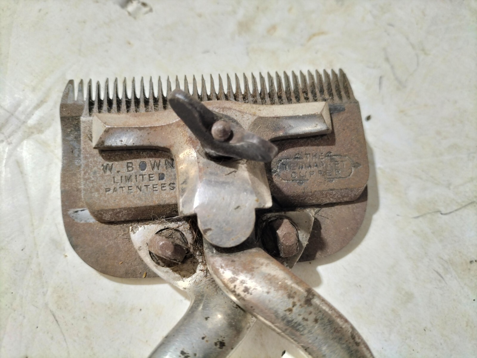 Antique Horse Clippers + Box Newmarket Burman Clippers + Martins Box