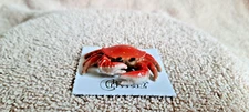 LITTLE CRITTERZ Dungeness Crab "Angeles" Miniature Figurine New FREE SHIP LC965