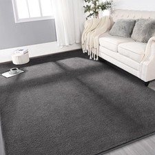 Large Ultra Soft Modern Area Rugs for Living Room Bedroom, 4x6 Feet Dark Grey