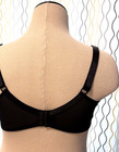 nwot HSIA retro full cup SHEER BLACK FLORAL LACE UNDERWIRE BRA mesh pin up 46DD — photo 3