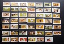 Hornimans Tea Cards DOGS (1961) Full Set of 48 cards